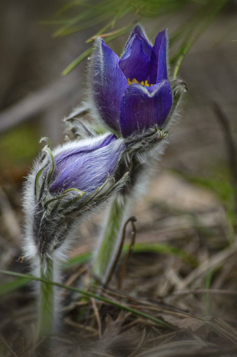 nevant60 пейзаж красота, Александр Березуцкий
