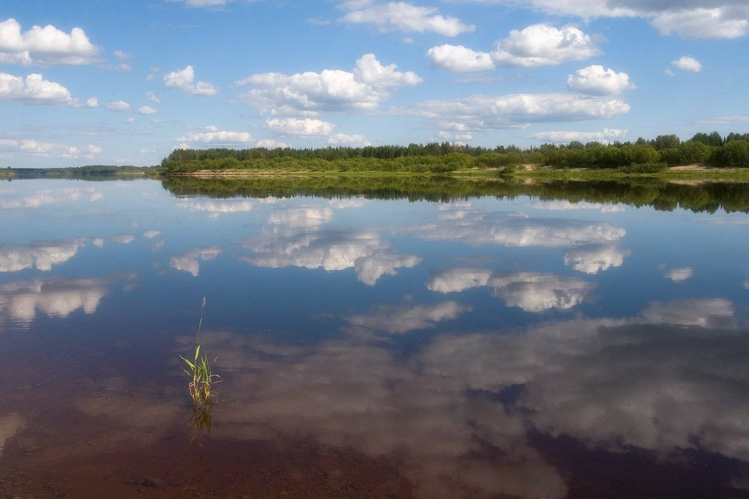 , Поташев Александр