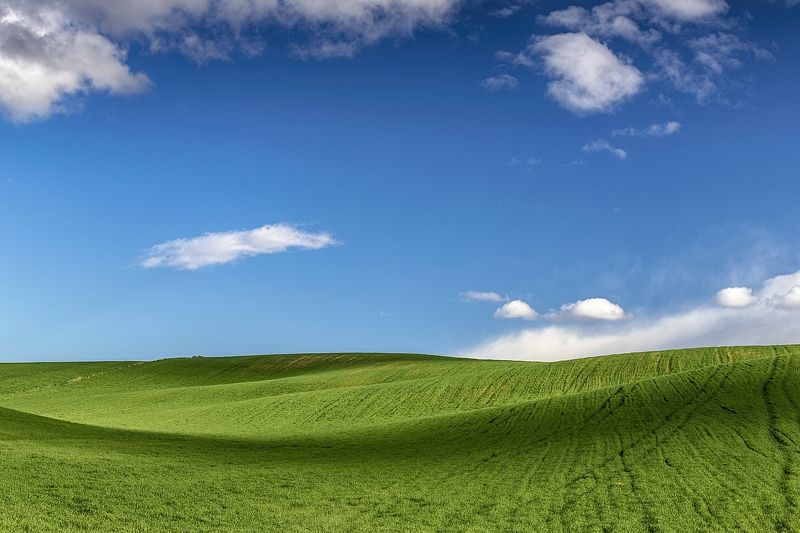 XP reloded фото превью