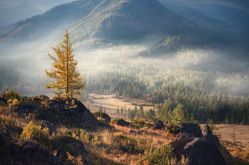 Джазатор / Djazator