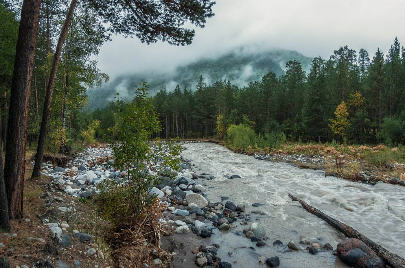 , Игорь Мелекесцев