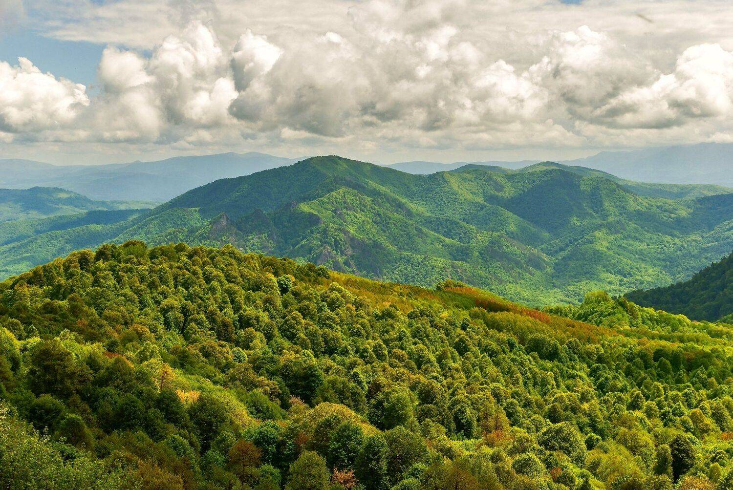 , Владимир Гамаюнов