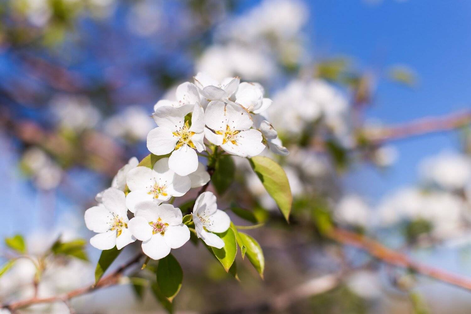 , Павел Сагайдак