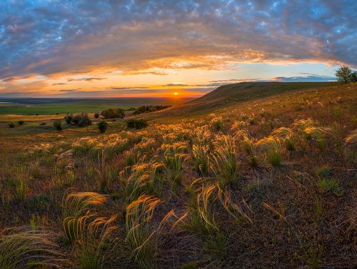 Ковыльный закат
