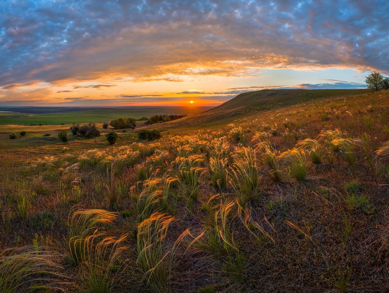 Ковыльный закат фото превью