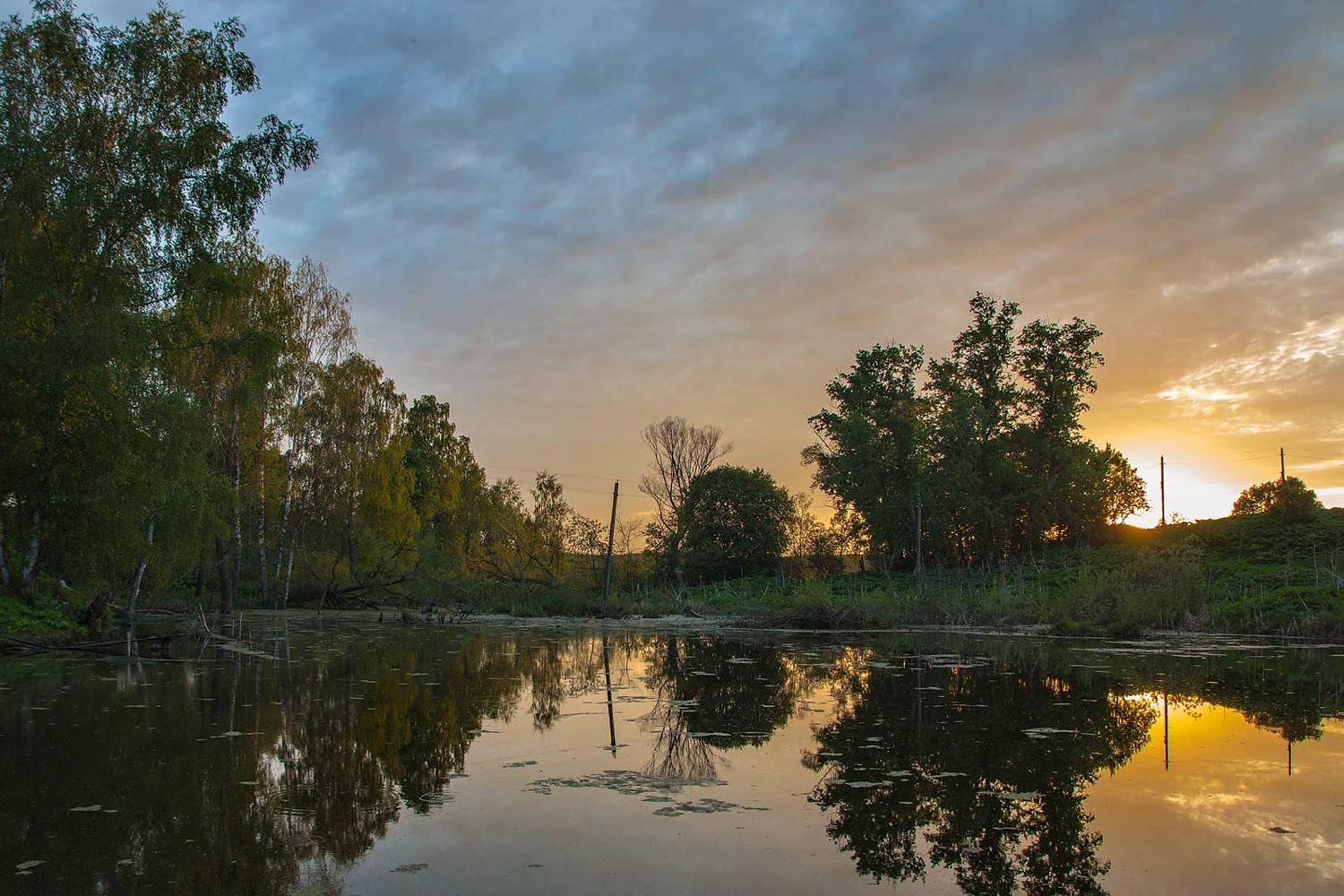 , Александр