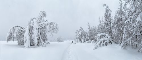 Заснеженная долина