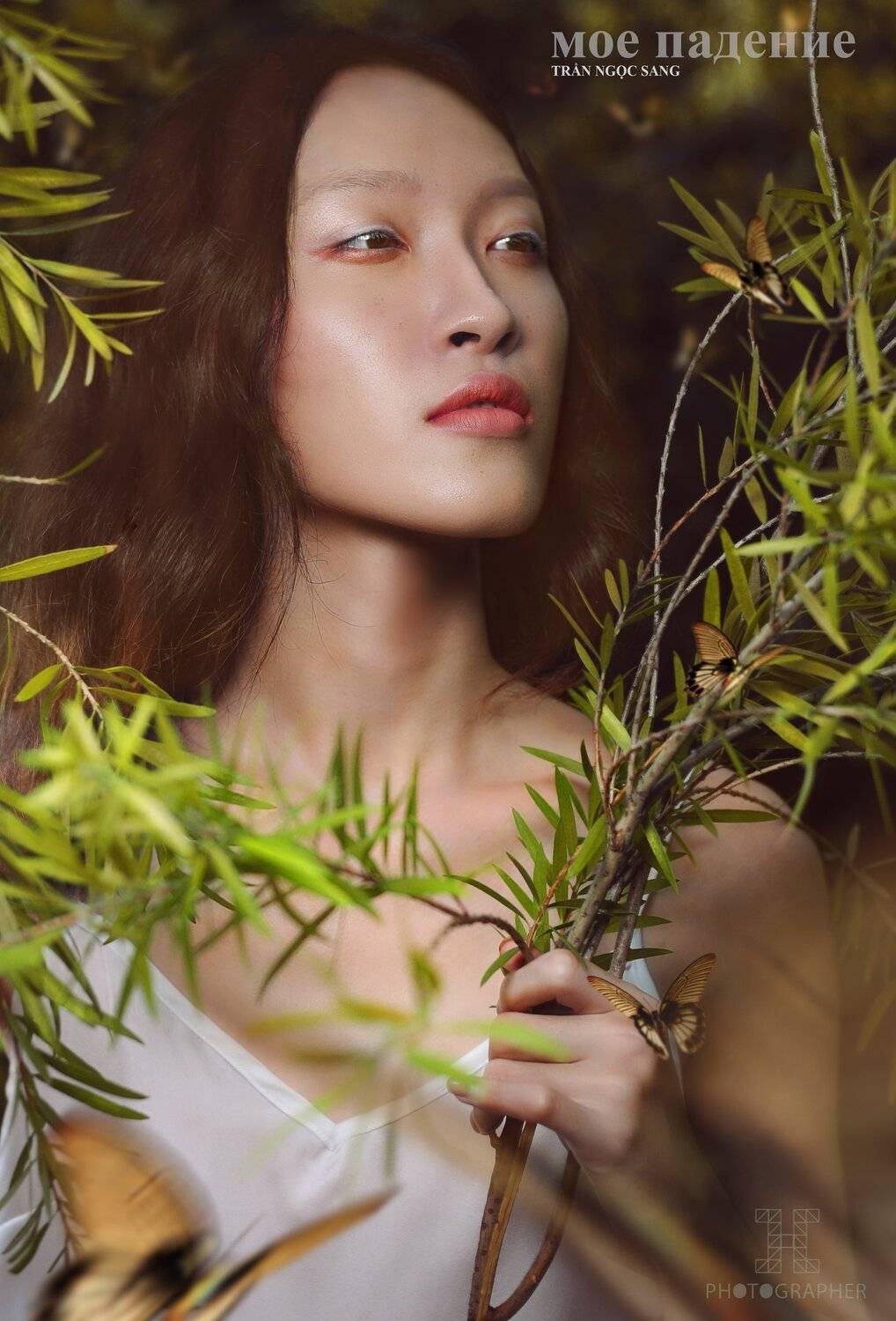 , Sơn Hải L&ecirc;