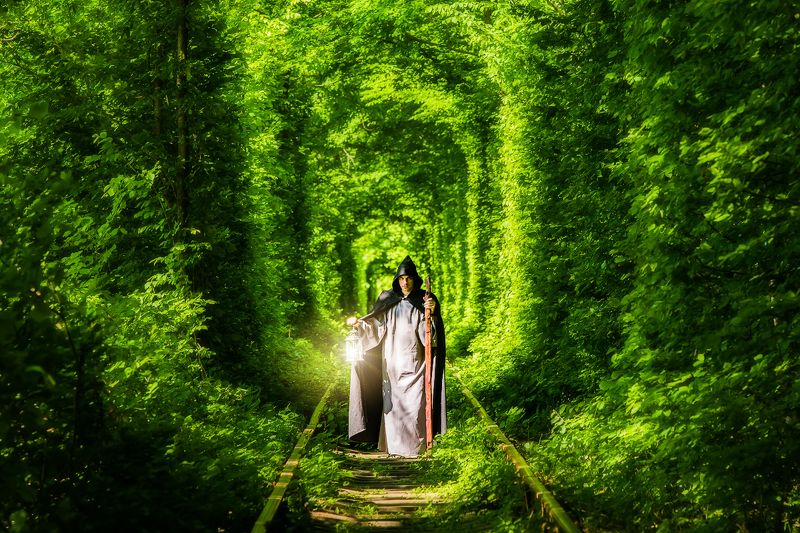 Я покажу вам дорогу в мир магии! фото превью