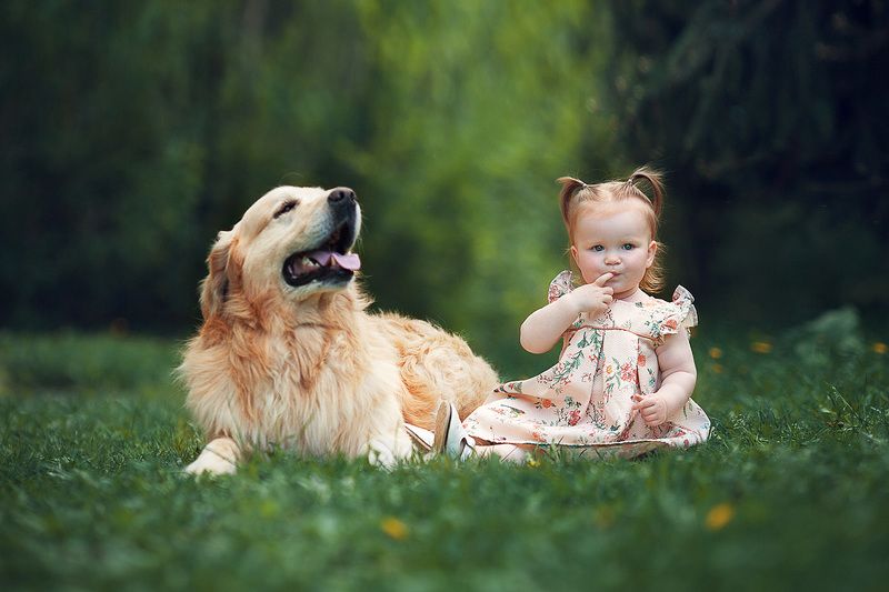 friends фото превью