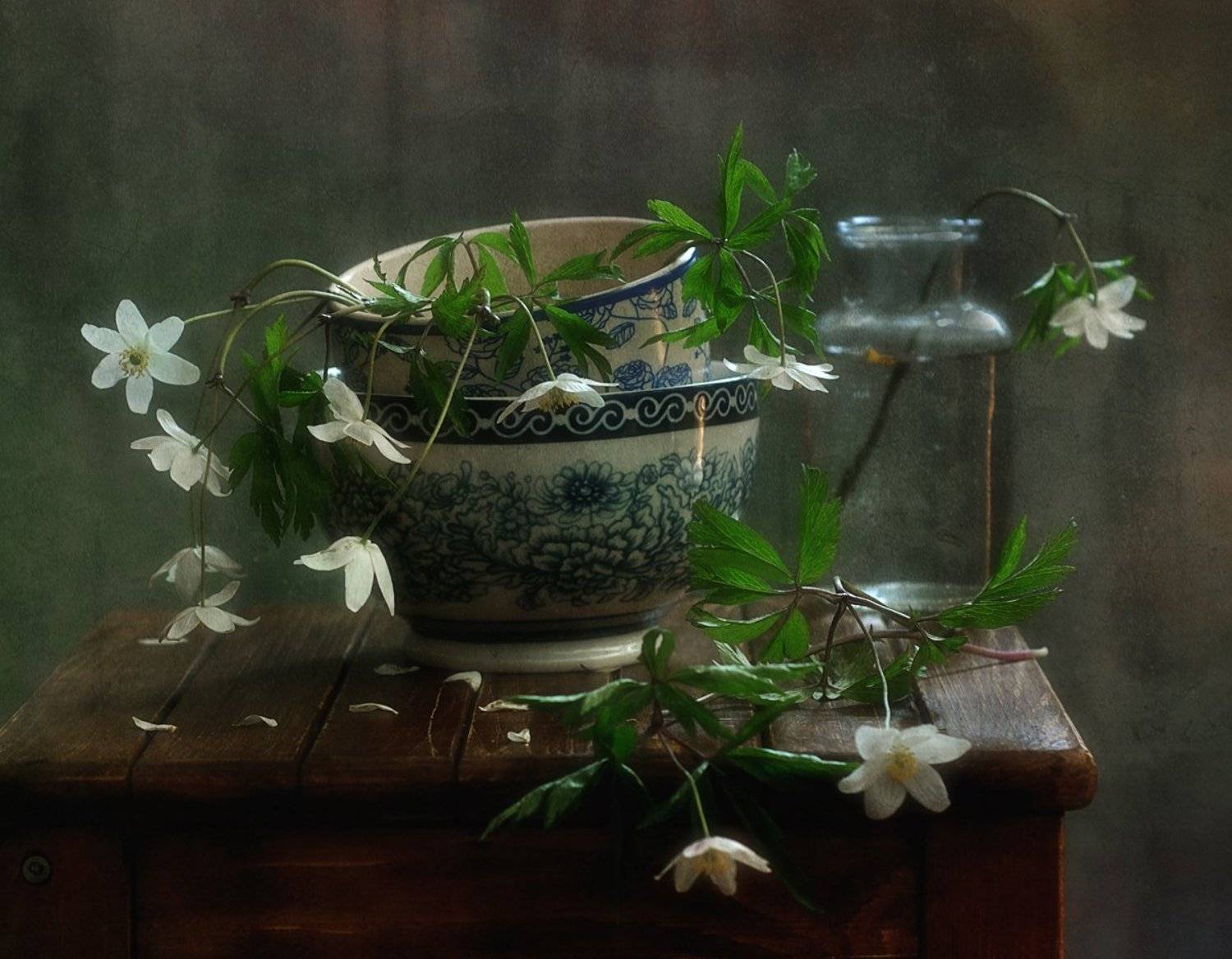 натюрморт,ветреницы,весна,цветы,анемоны, Наталия К