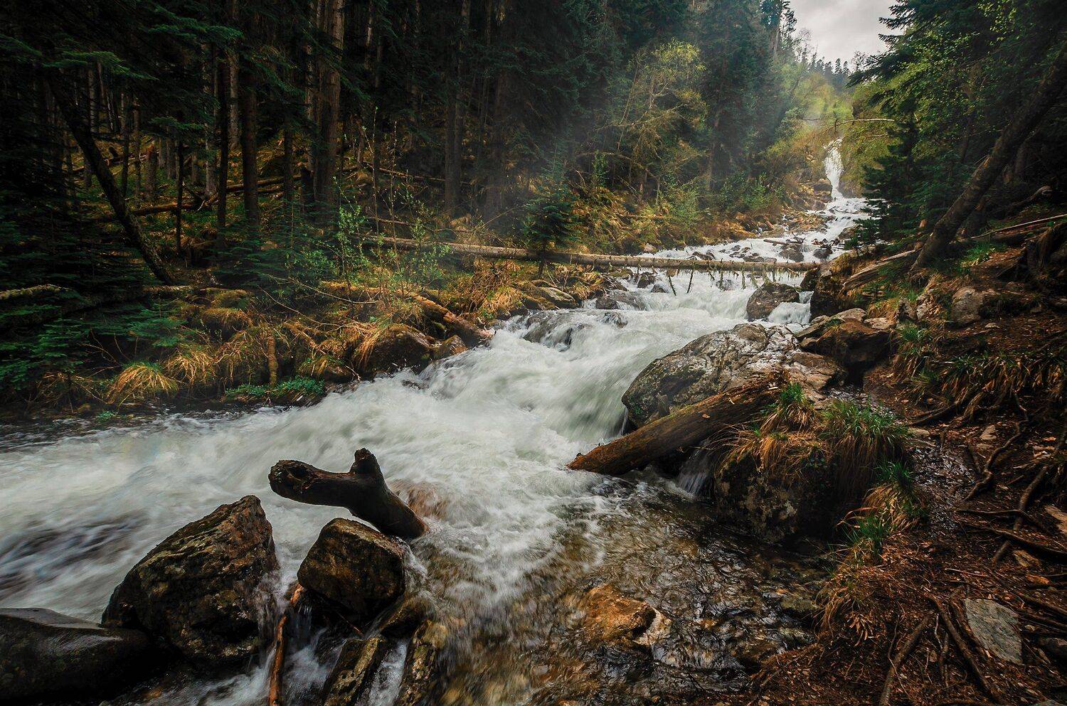 горы, горная река, горные реки, архыз, цвета, лес, nikon, d7000, Сергей Лукашенко