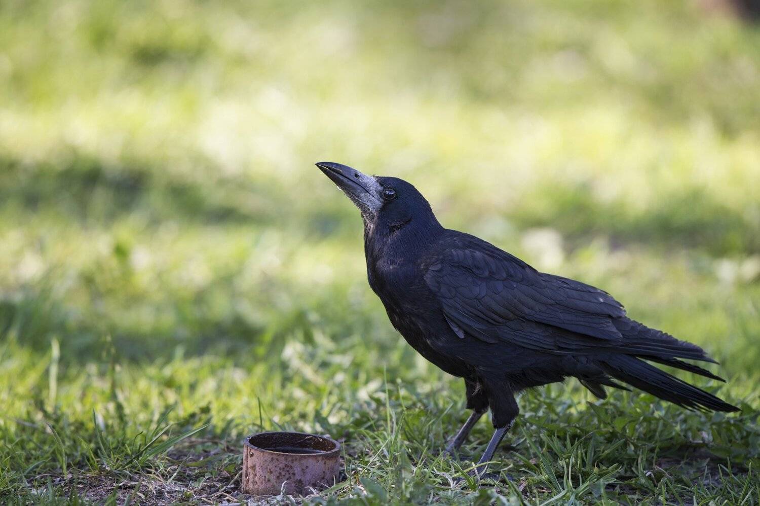 , Юрий Кулаков