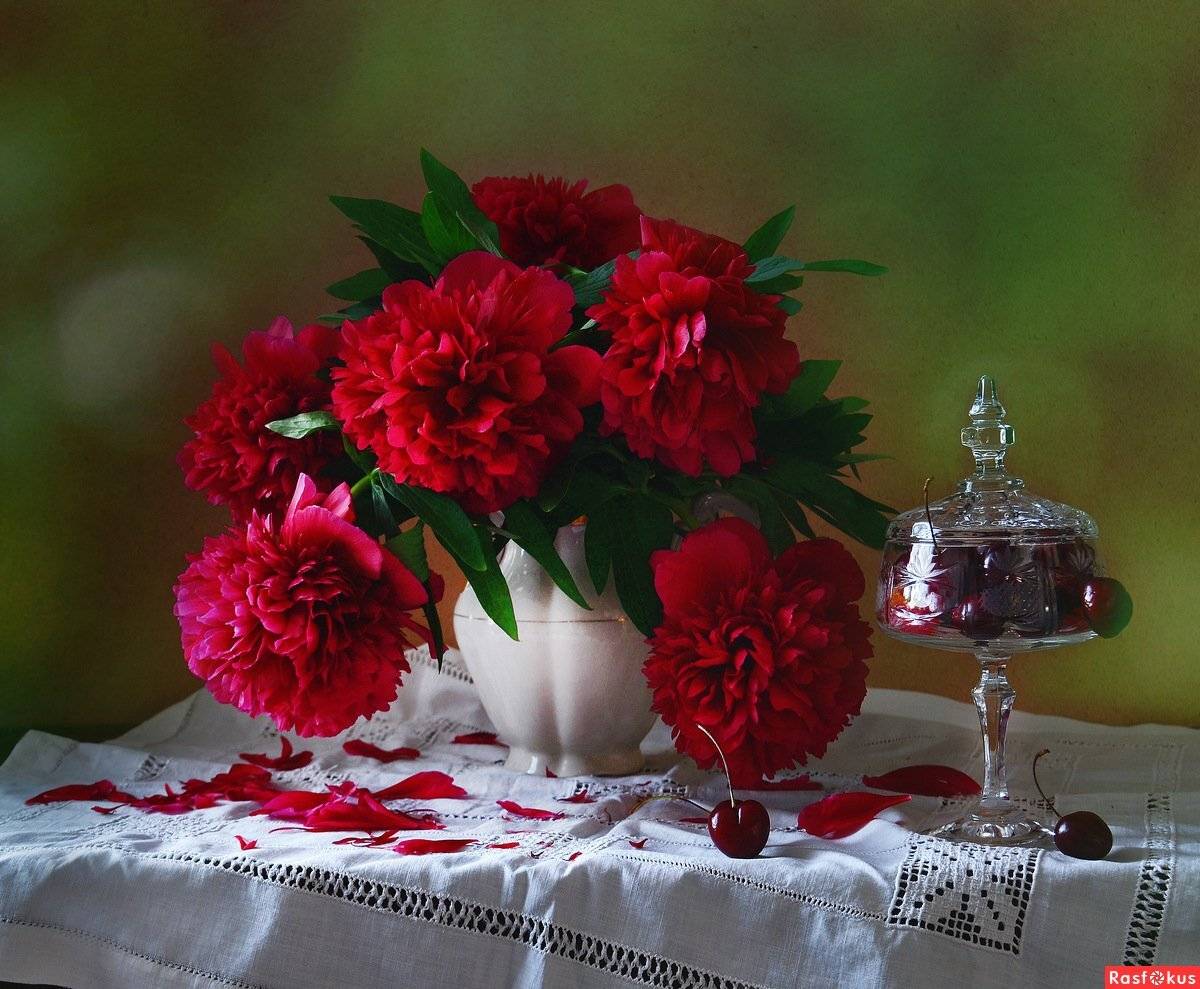 букет, ваза, июнь, лето, пионы, still life,натюрморт, фарфор, фото натюрморт, черешня, ретро, Колова Валентина