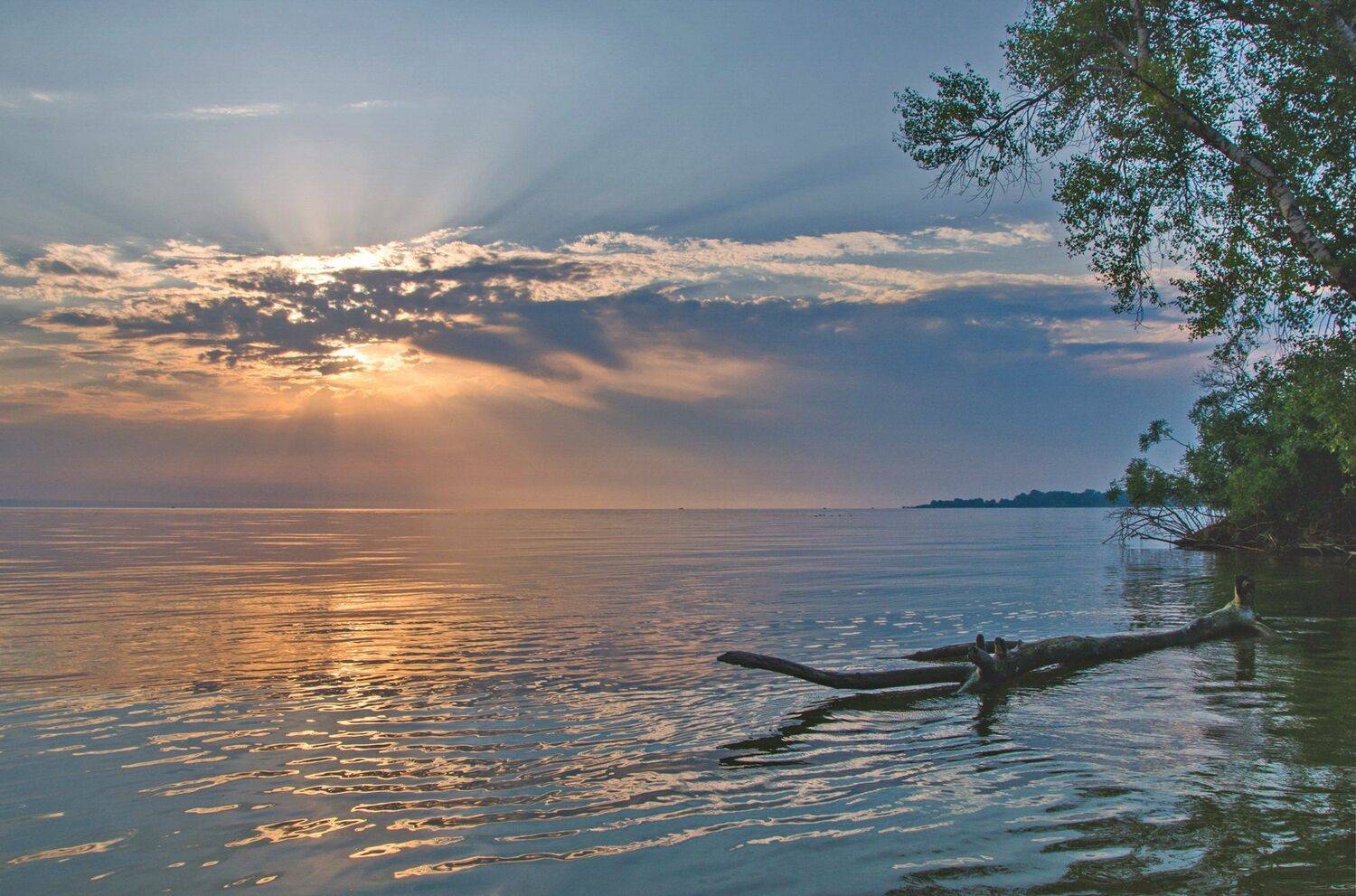 утро, рассвет, река, восход, Валерий Наумов