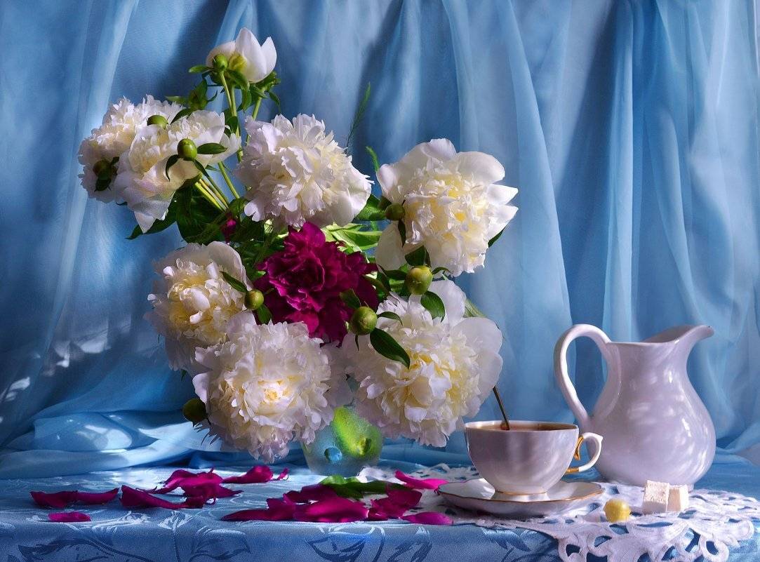 still life, натюрморт, июль, лето, пионы, стекло,  фото натюрморт, цветы,фарфор, чашка, Колова Валентина