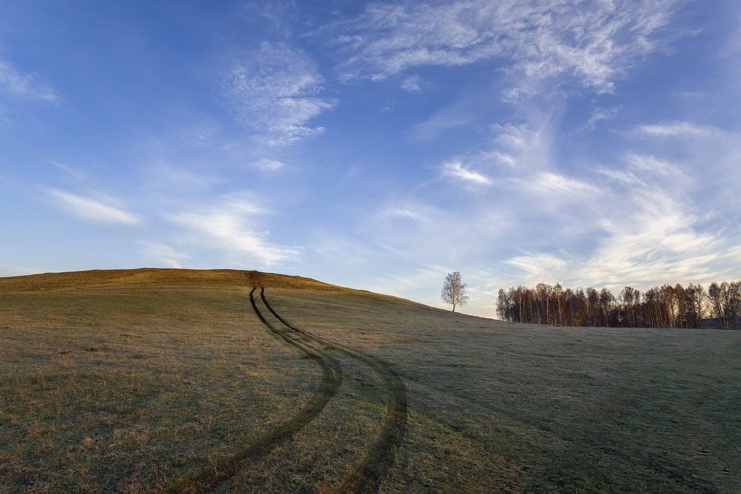 утро, рассвет, восход, туман, лучи, Леонид Максименко