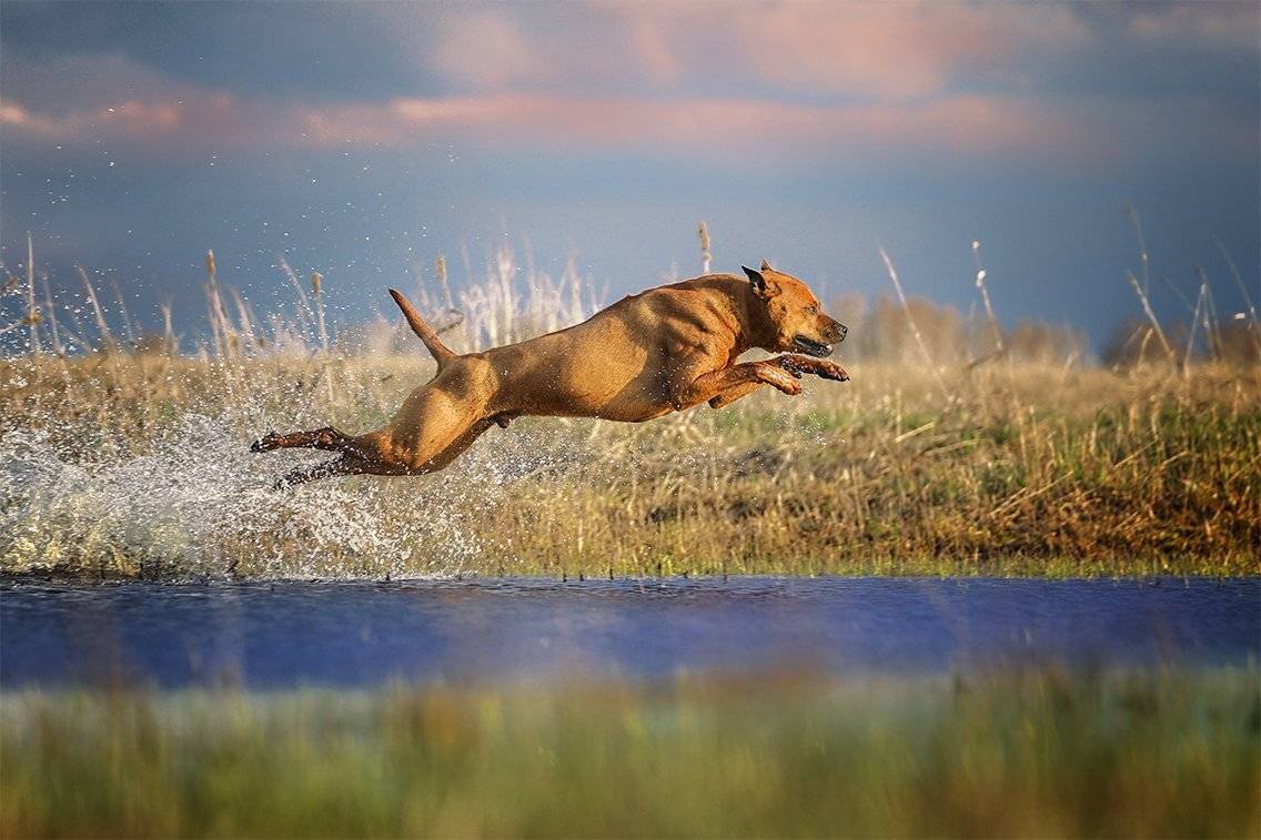 , Андрей Ершов