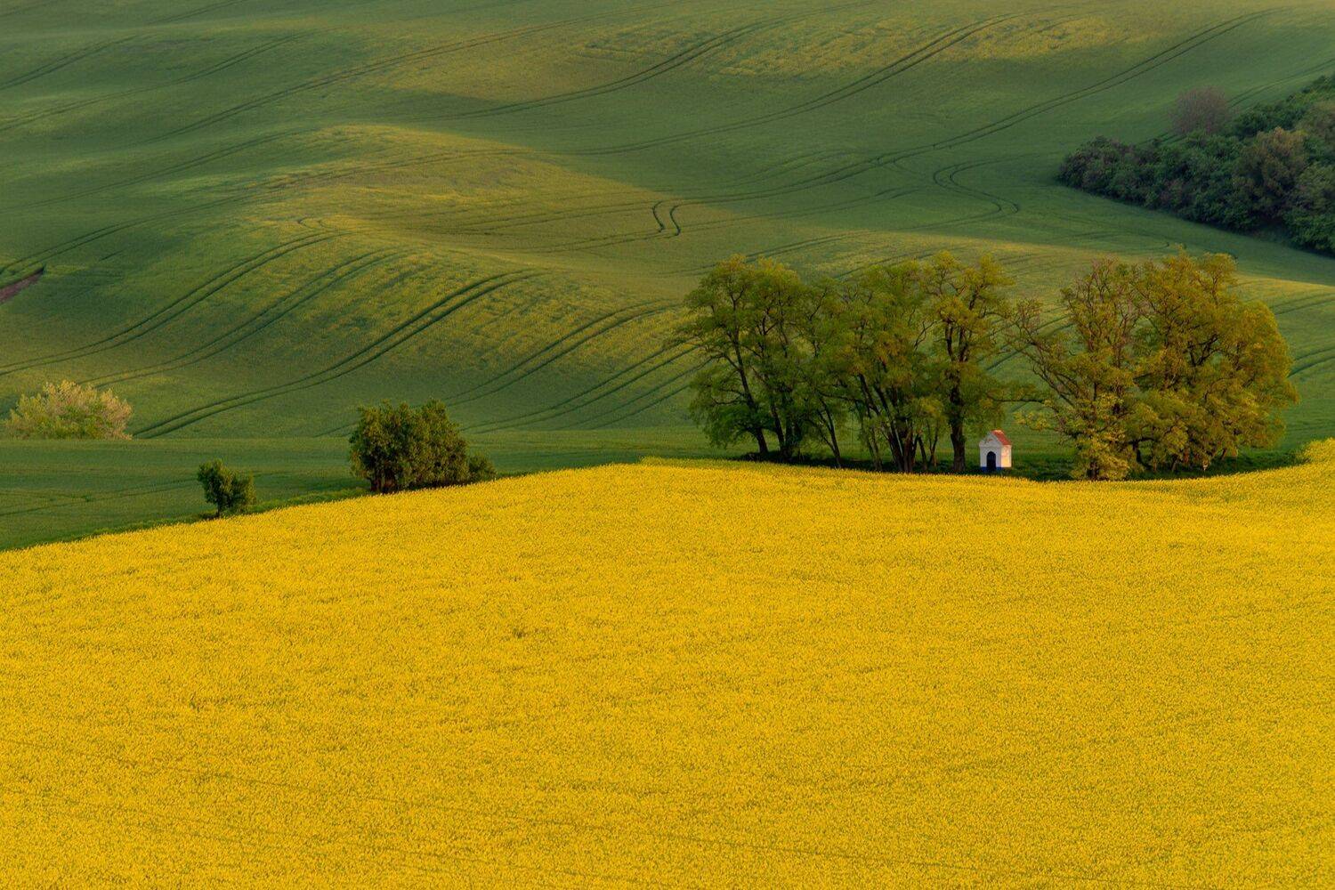 моравия, Исаков Дмитрий