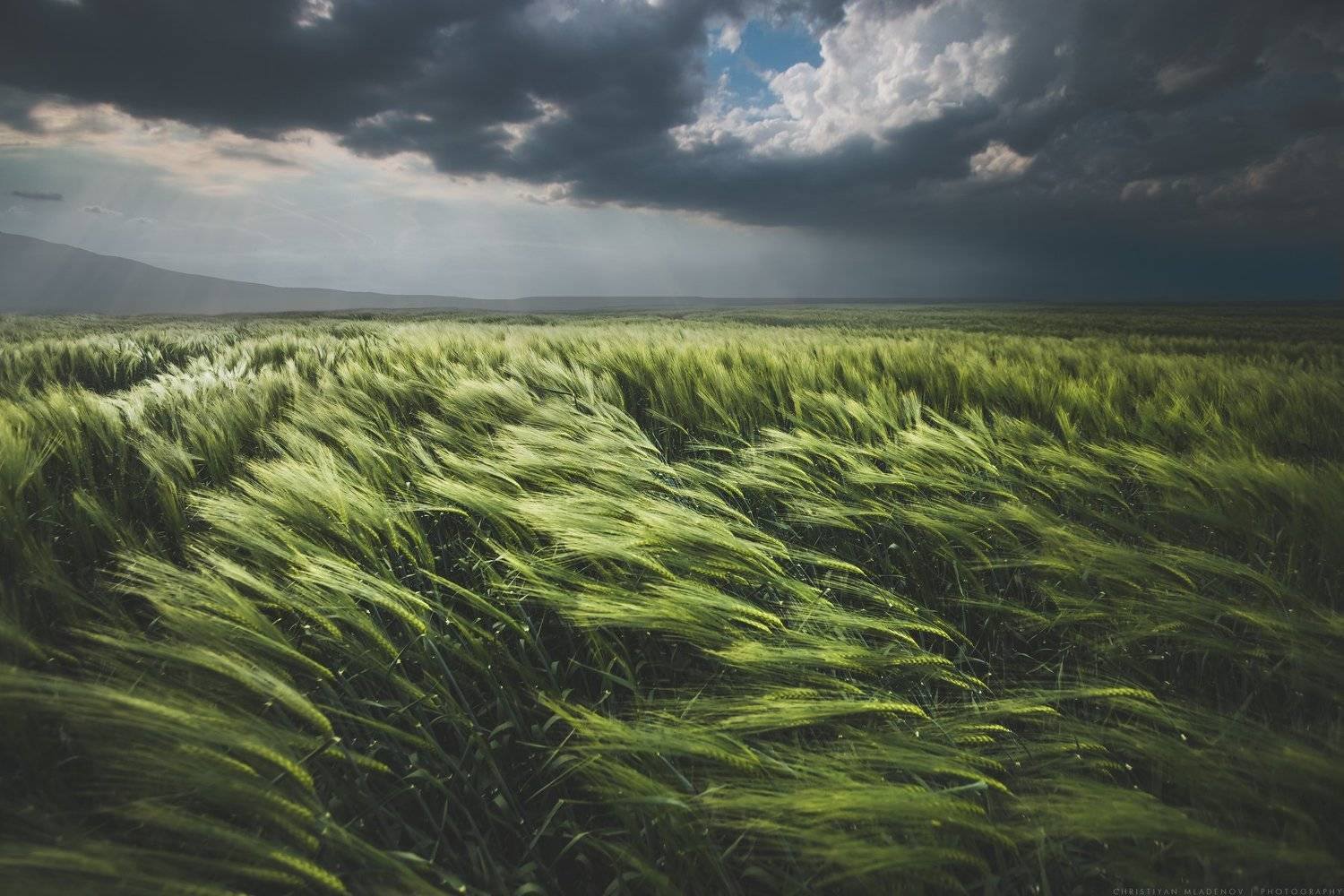 landscape, sunset, bulgaria, panorama, nature, long exposure, sun, evening, light, golden hour, warm, colorfull, dreamy, glow, sky, clouds, storm, barley, wheat, fields, landschaft, green acres, Кристиян Младенов