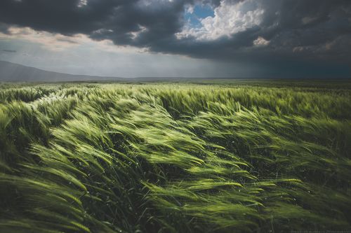 Вятър | Wind