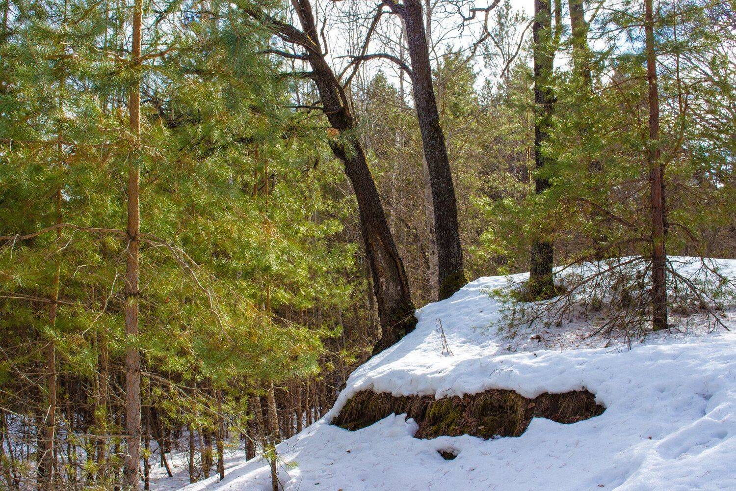 , Руслан Востриков