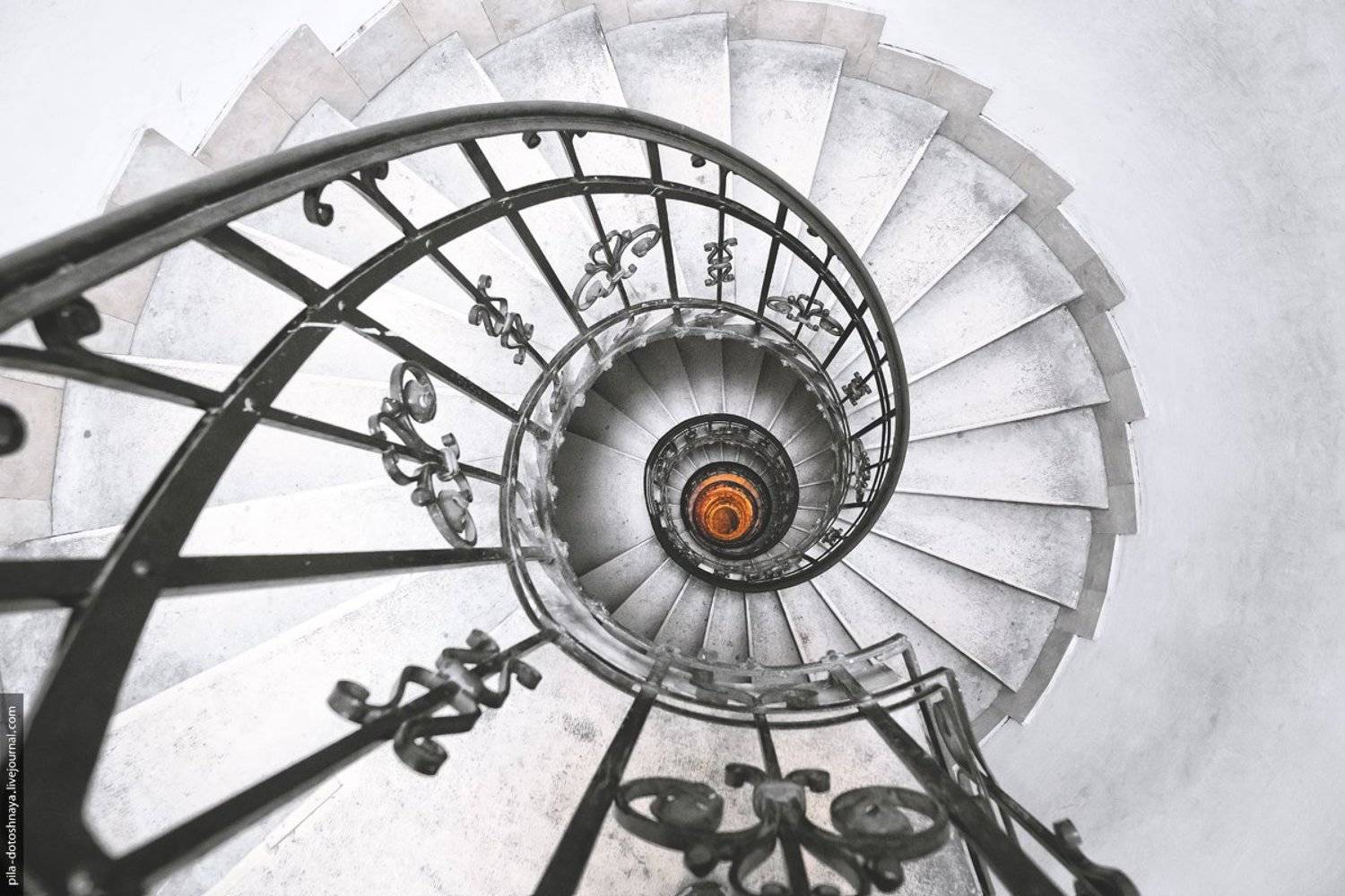 , Анна Аринова