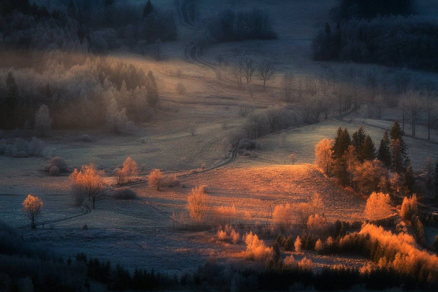 landscape,canon,mist,light,autumn, Iza i Darek Mitręga
