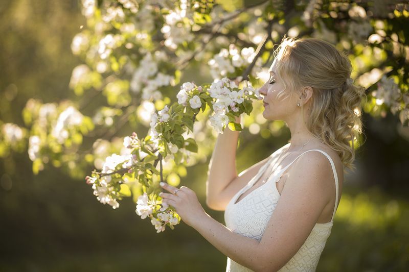 цветущая весна фото превью