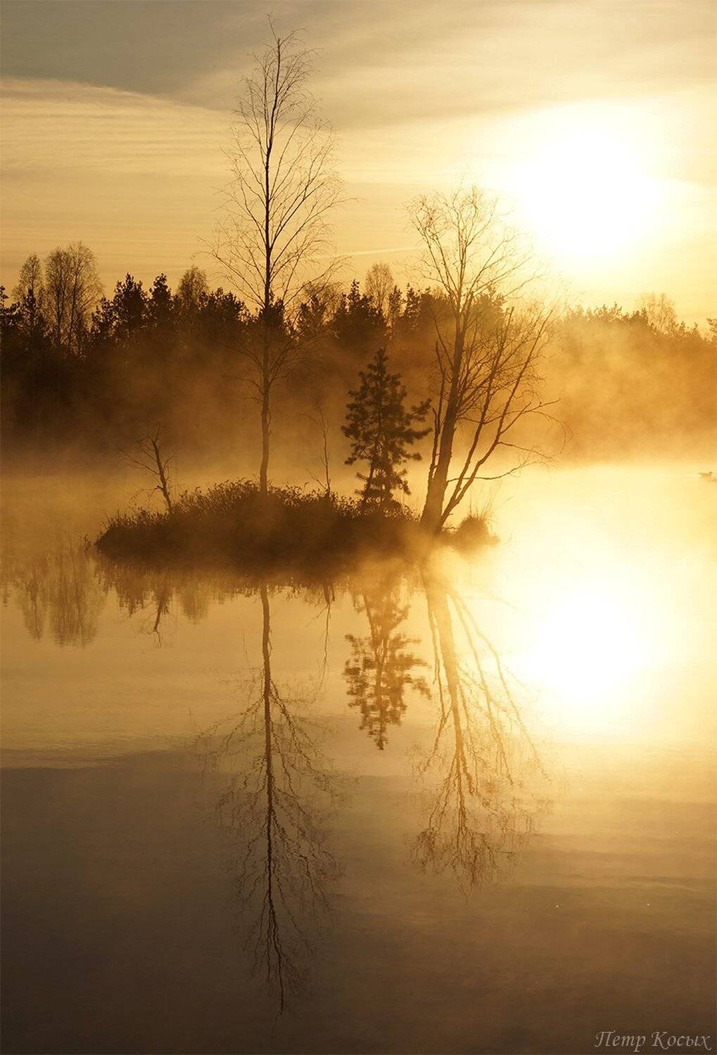 рассвет, Петр Косых
