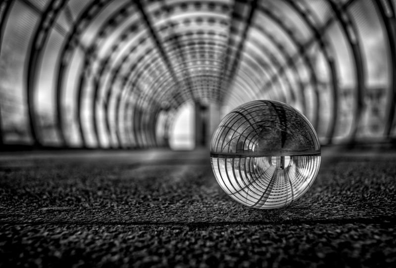 the ball фото превью