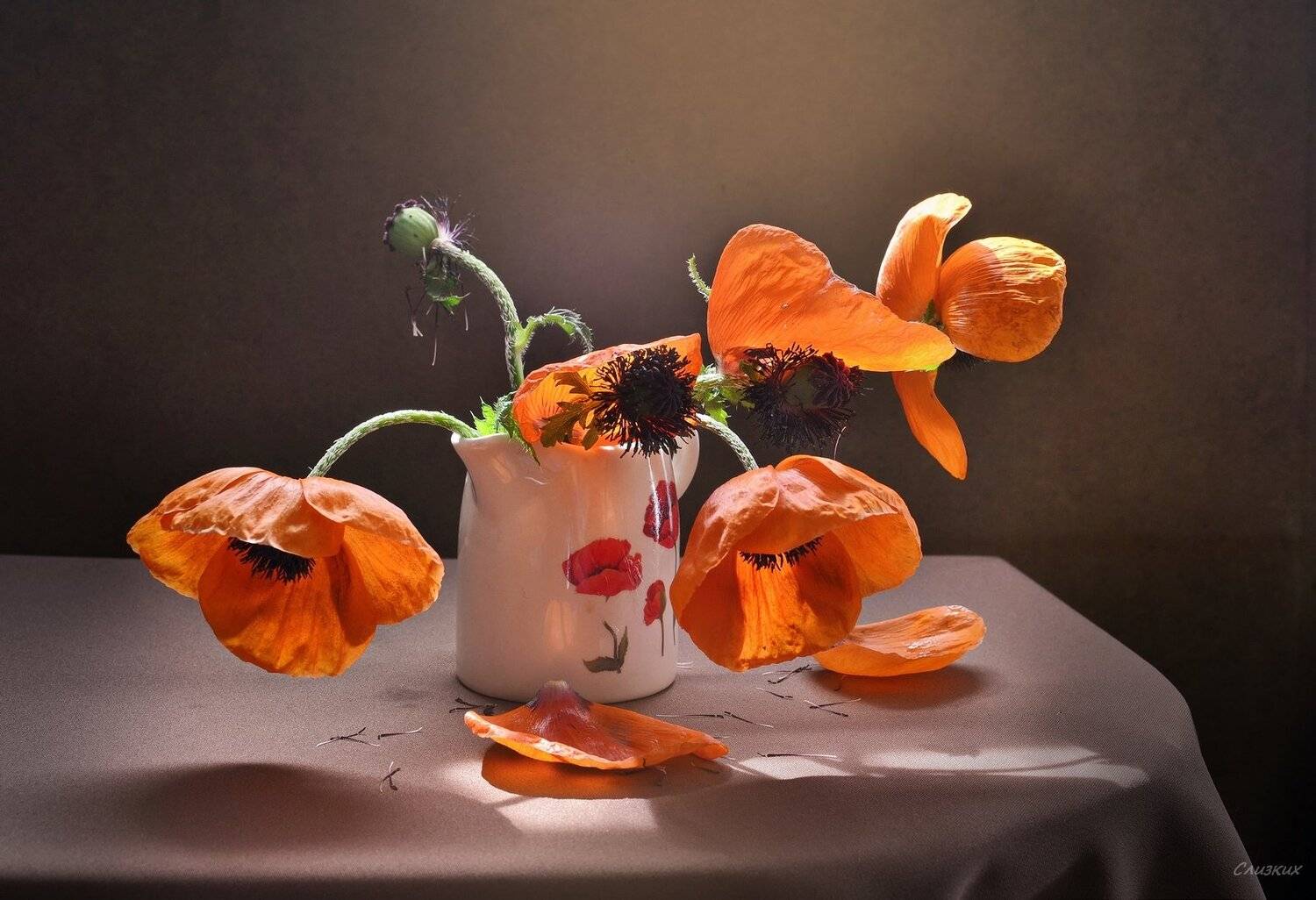 маки,натюрморт,букет,молочник,свет,лучи,солнце,лето, Инаида