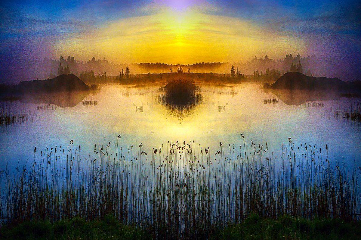 утро, туман, природа, Rimantas Petrikas