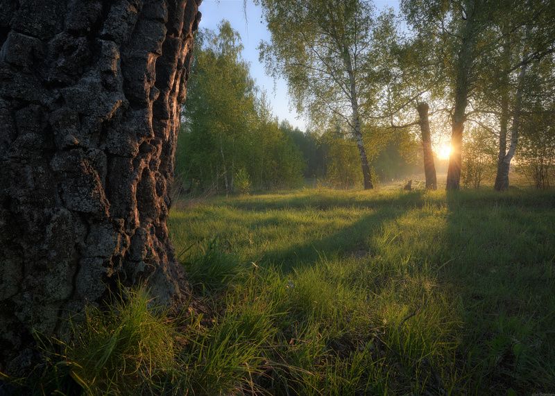 #пейзаж #весна #подмосковье #чехов #красиво #природа #восход #утро  / Утро в Подмосковье /  фото превью