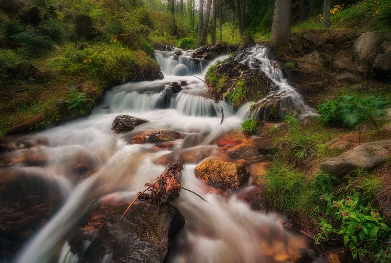 Поток фото превью