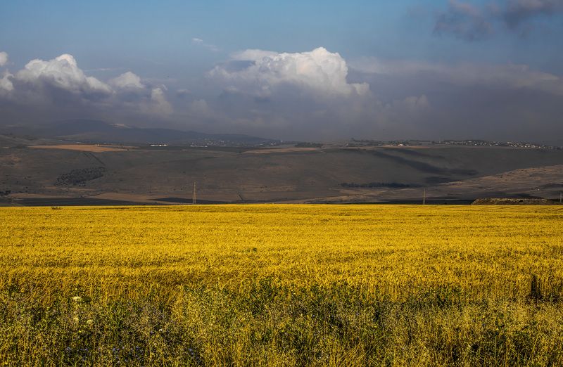 По дороге на Кинерет в мае фото превью