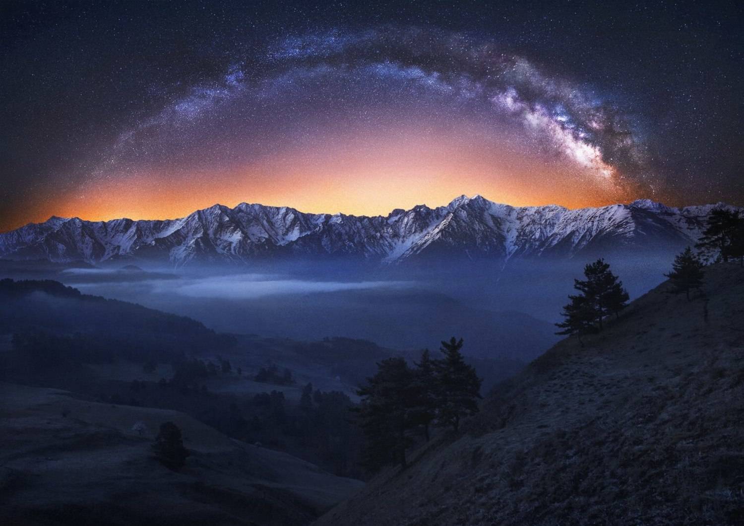 , Алексей Дранговский