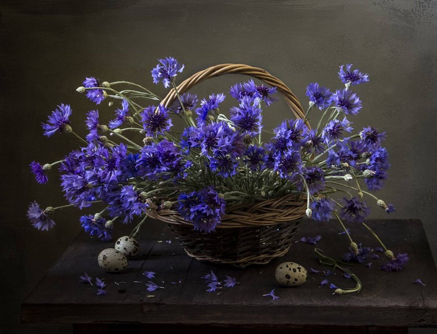 натюрморт, цветы, still life, Оля