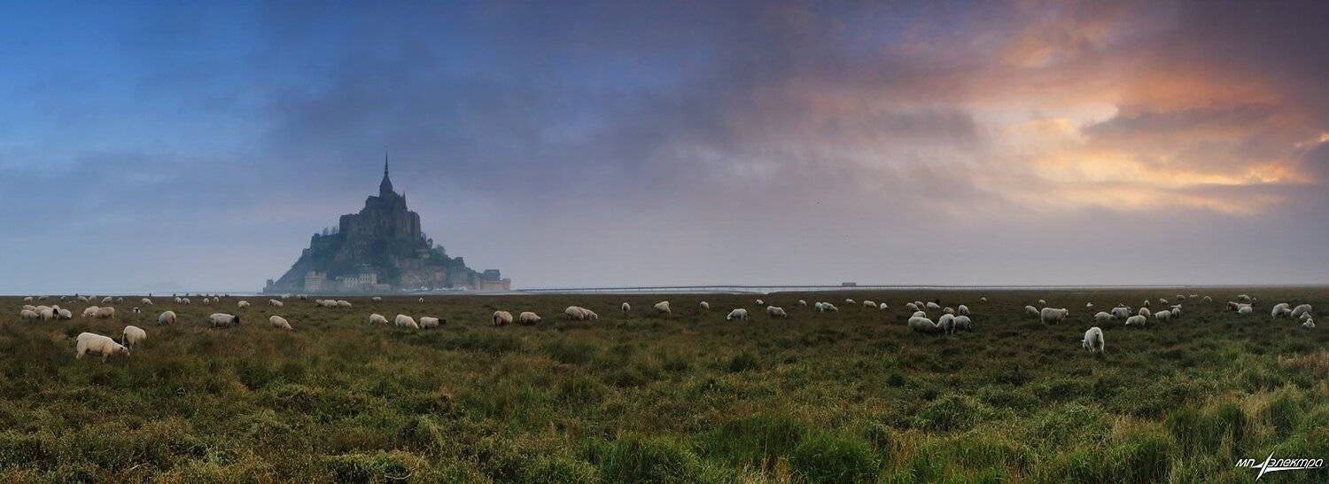 франция, Матвеев Николай
