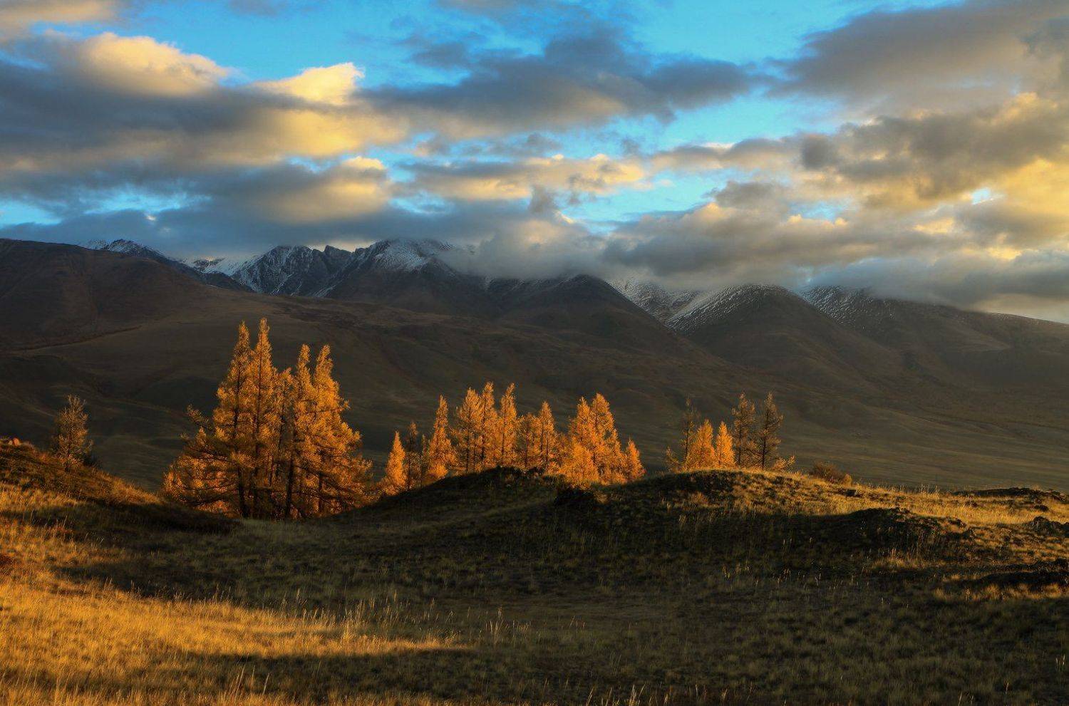 сибирь, алтай, горный алтай, курай, осень, курайский хребет, природа, пейзаж, горы, Галина Хвостенко