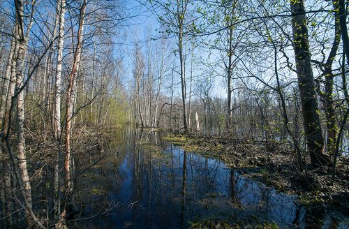 Дорогами весны …