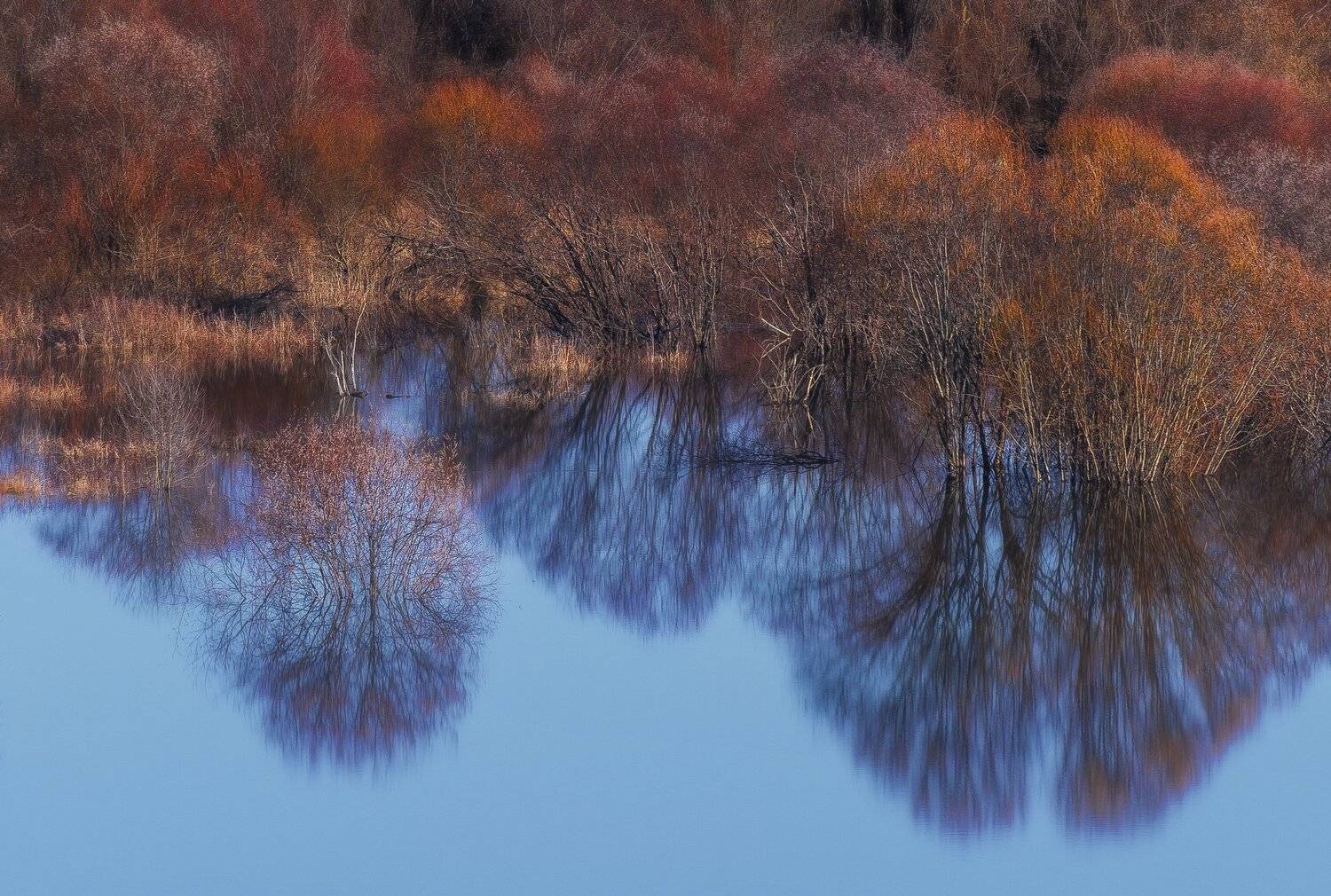елатьма, весна, рязань, разлив, Владимир Штыриков