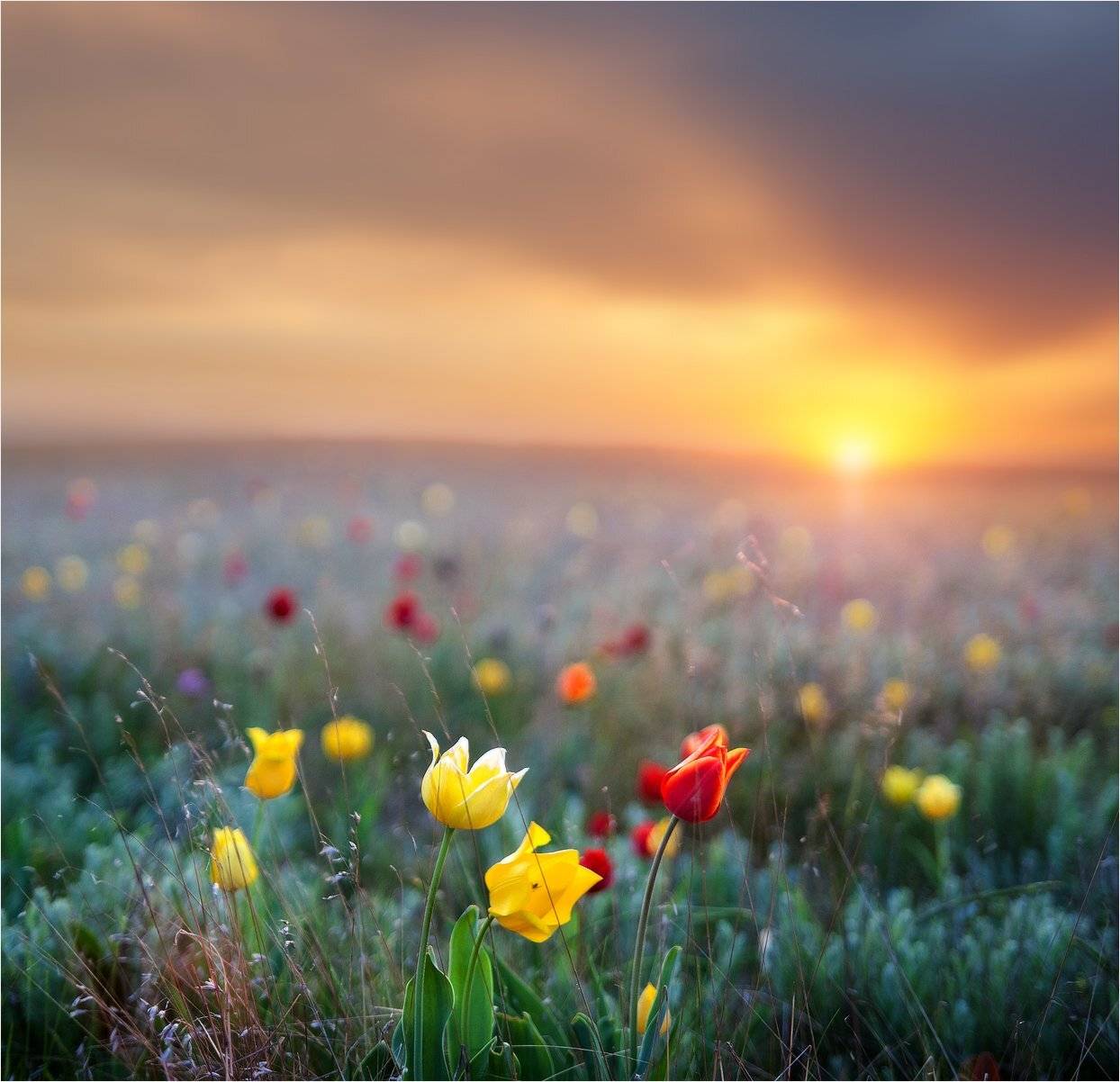 , Михаил Гапонов