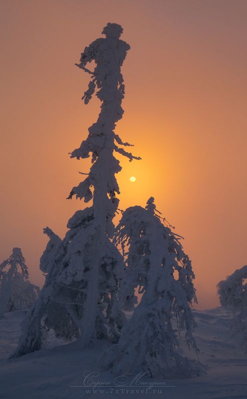 Бродяги севера фото превью