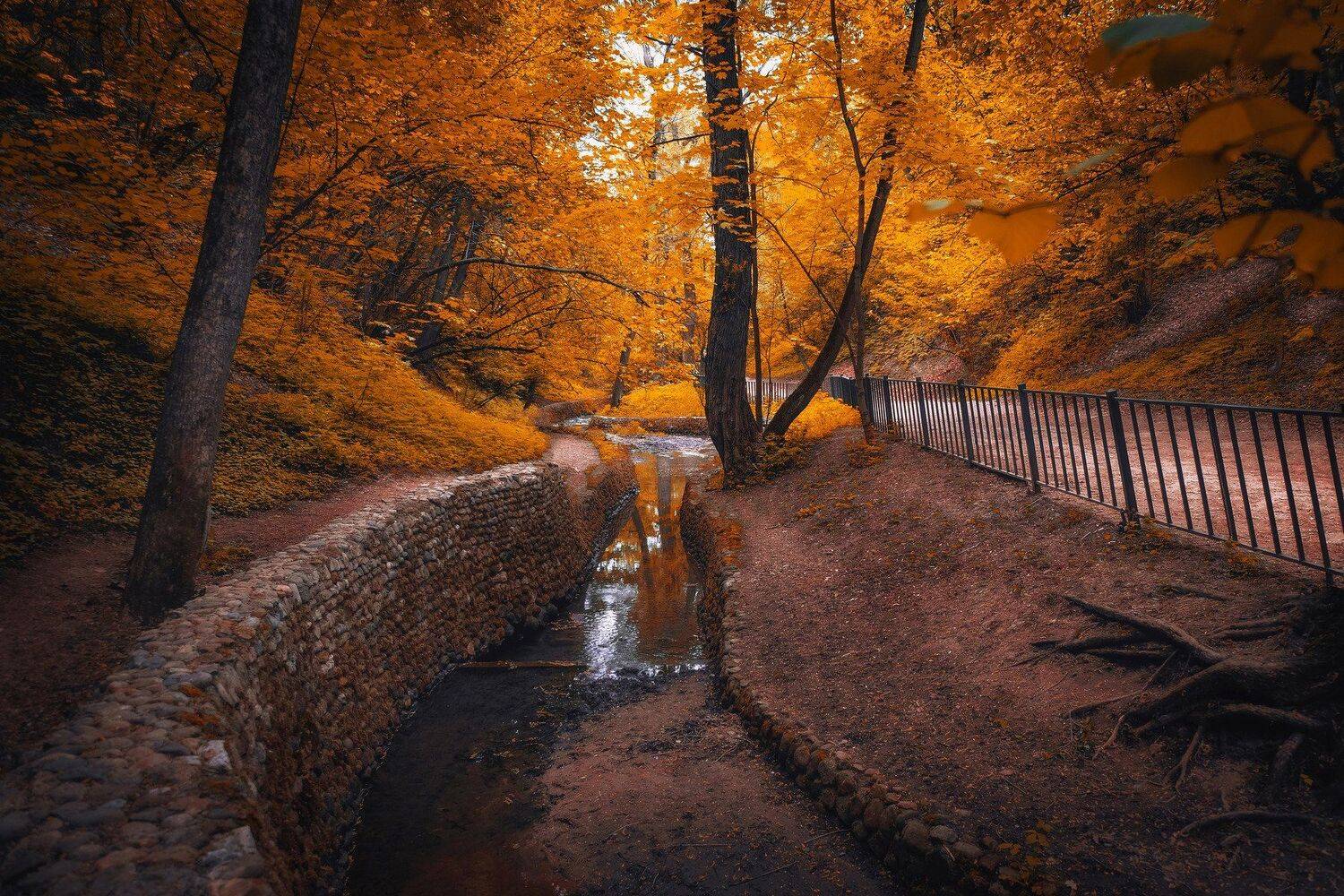 осень, парк, природа, пейзаж, река, лес, Екатерина