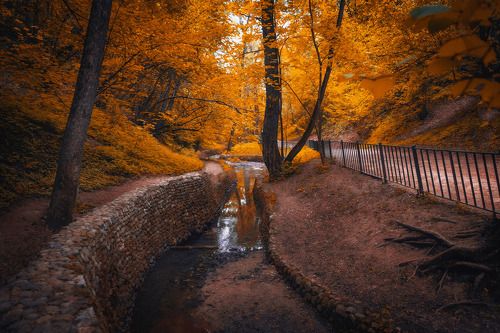 Осенняя сказка