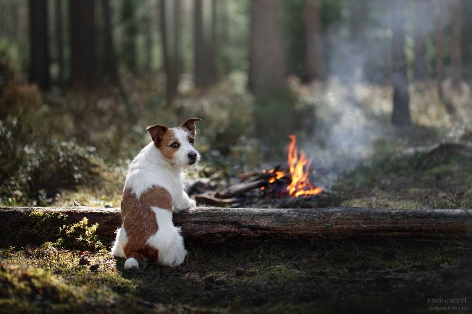 , Надежда Иванова