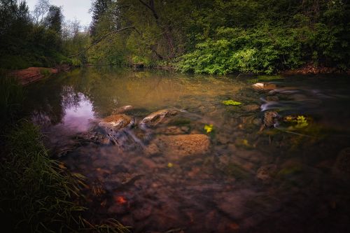 река Молодильня