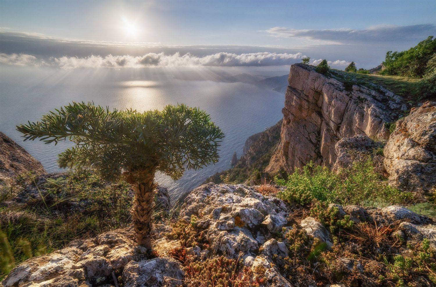 пейзаж, море, горы, весна, крым, дерево, Макс