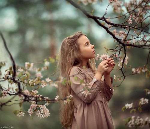 Остановиться, чтобы посмореть как цветет сакура..